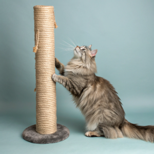 Luxury Cat Scratching Post – Sisal & Walnut